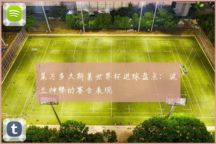莱万多夫斯基世界杯进球盘点：波兰神锋的赛会表现