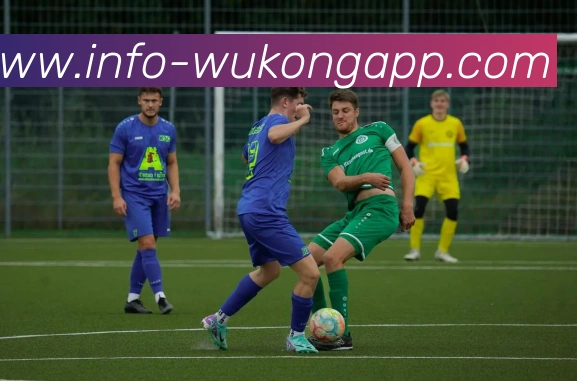 数据防护可视化